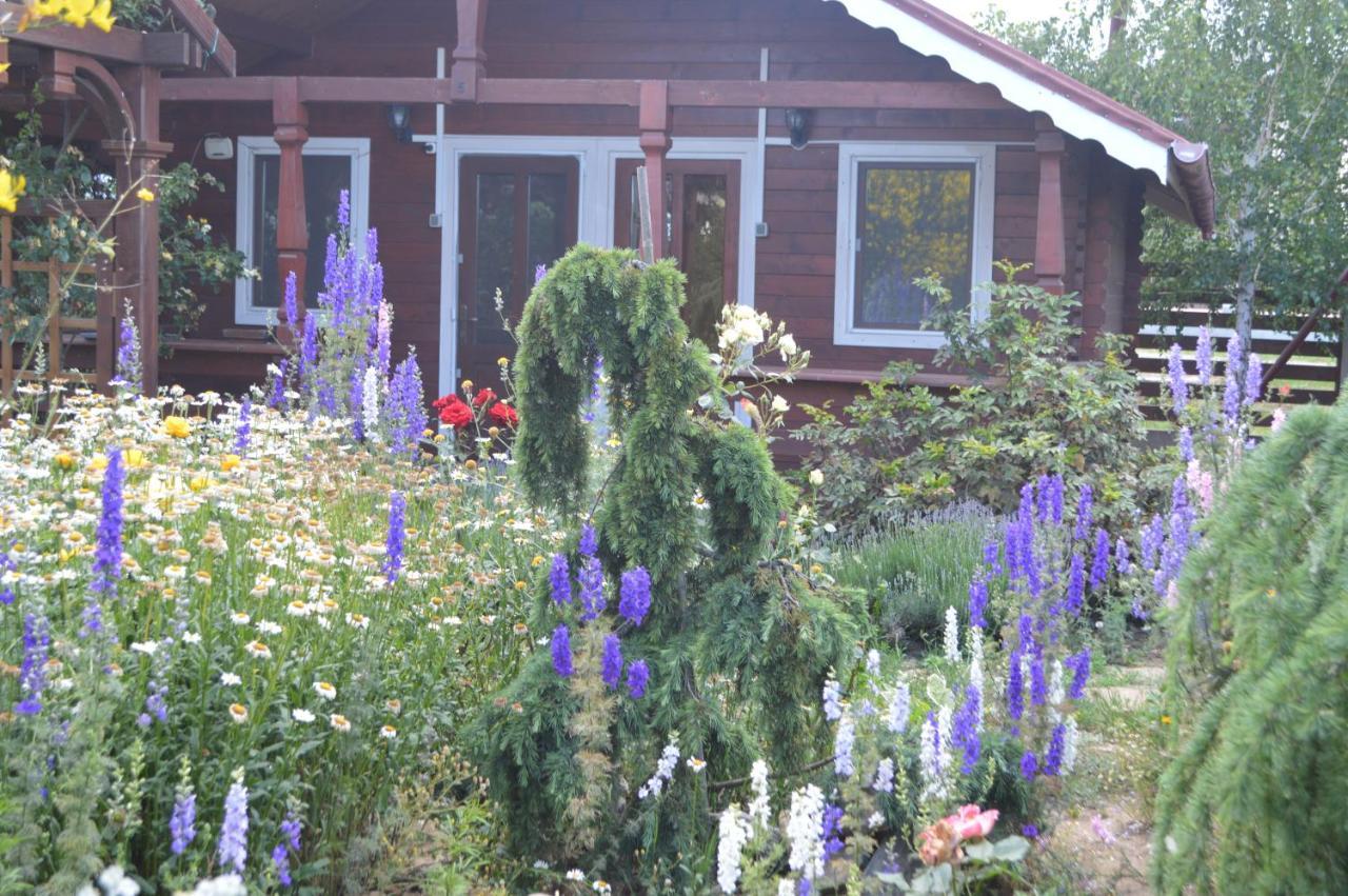 Cabane De Lemn Costinesti Buitenkant foto